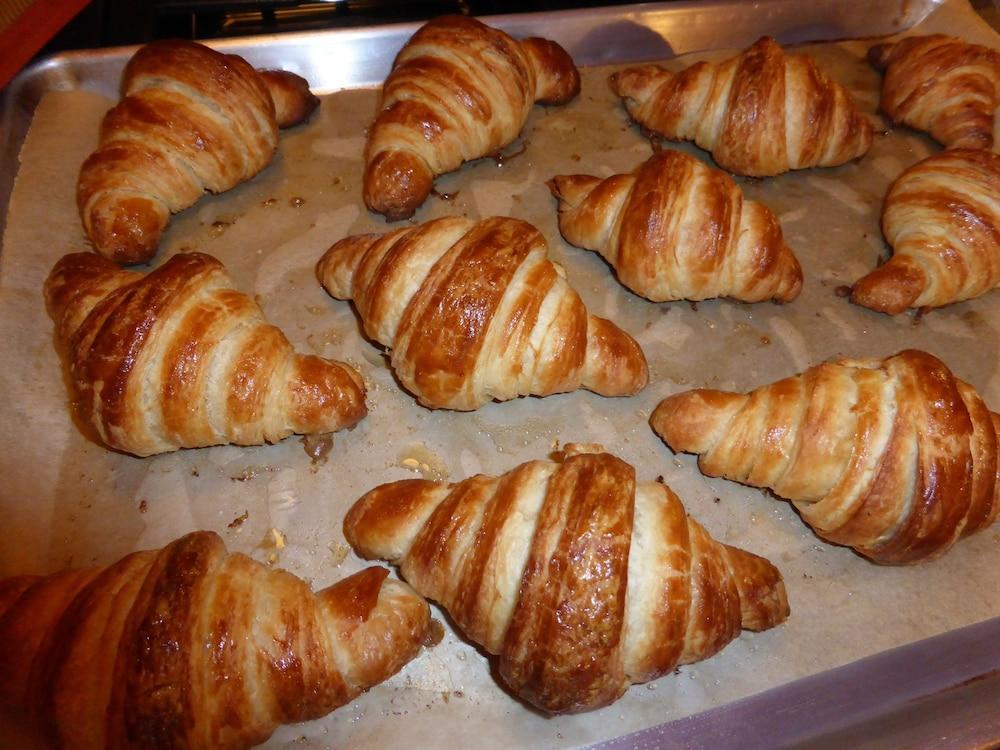 אשוויל Sweet Biscuit Inn מראה חיצוני תמונה